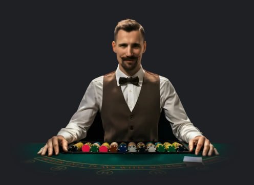 bet vip bet